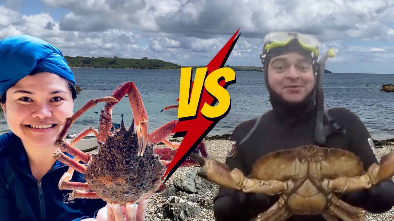Brown Crab vs Cornish King Crab | Taste Test