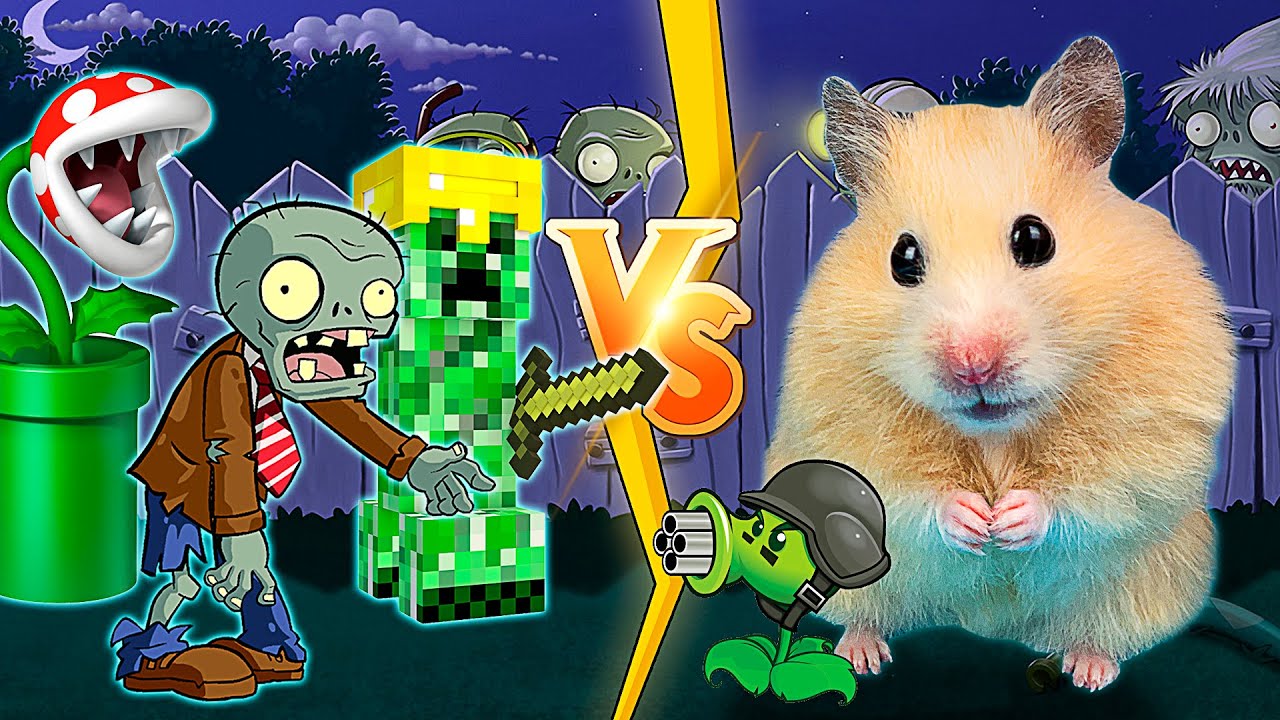 Лабиринт для Хомяка - 5 уровней - Игры Minecraft, Angry Birds, Zombies, Pacman, Super Mario