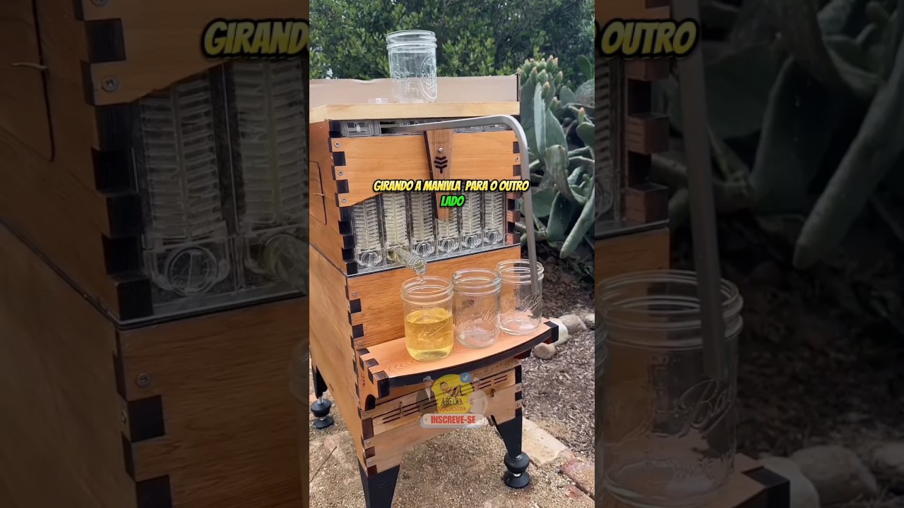 Essa colmeia colhe mel autom&aacute;tico igual ao Minecraft #shorts