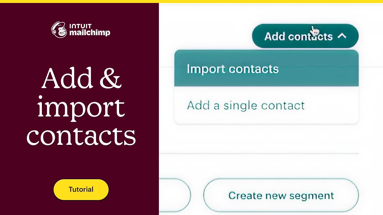 How to Add & Import Contacts to a Mailchimp Audience From a File (2025)
