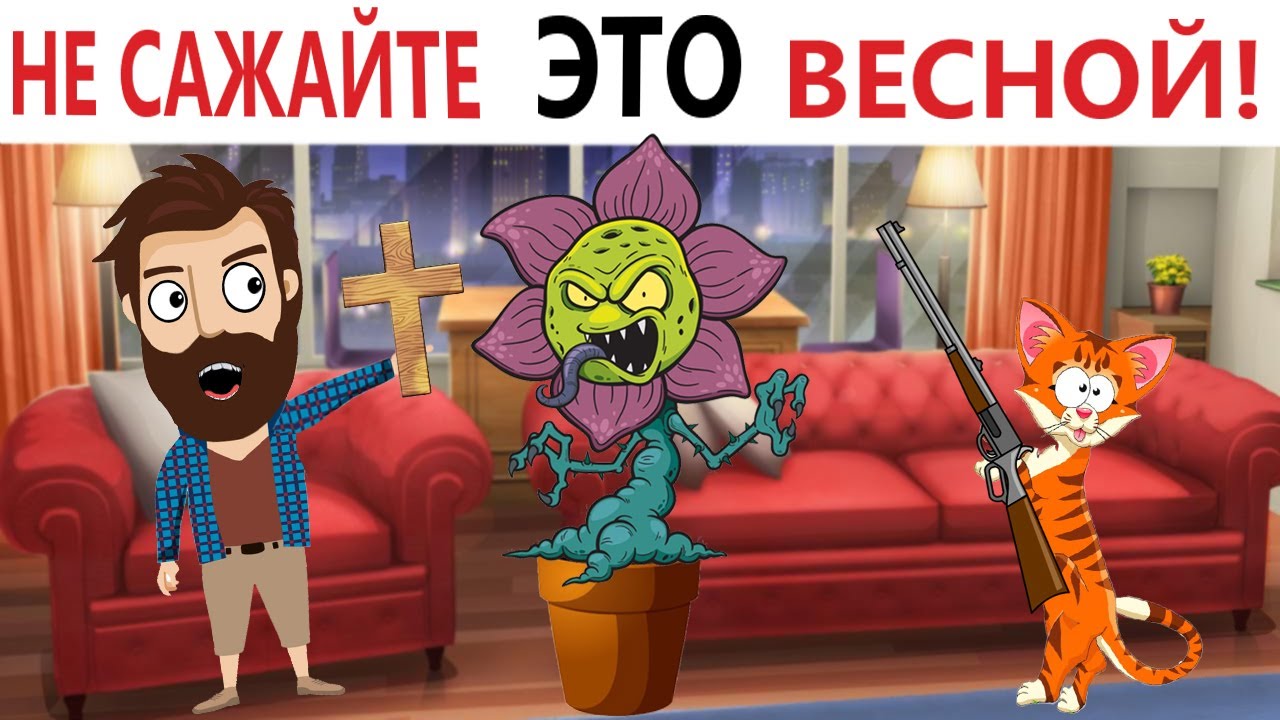 Приколы! 😱 ЦВЕТОК-УБИЙЦА НАПАЛ НА ХОЗЯИНА! МУРЗИК СПАС ЕГО! Смешные видео!