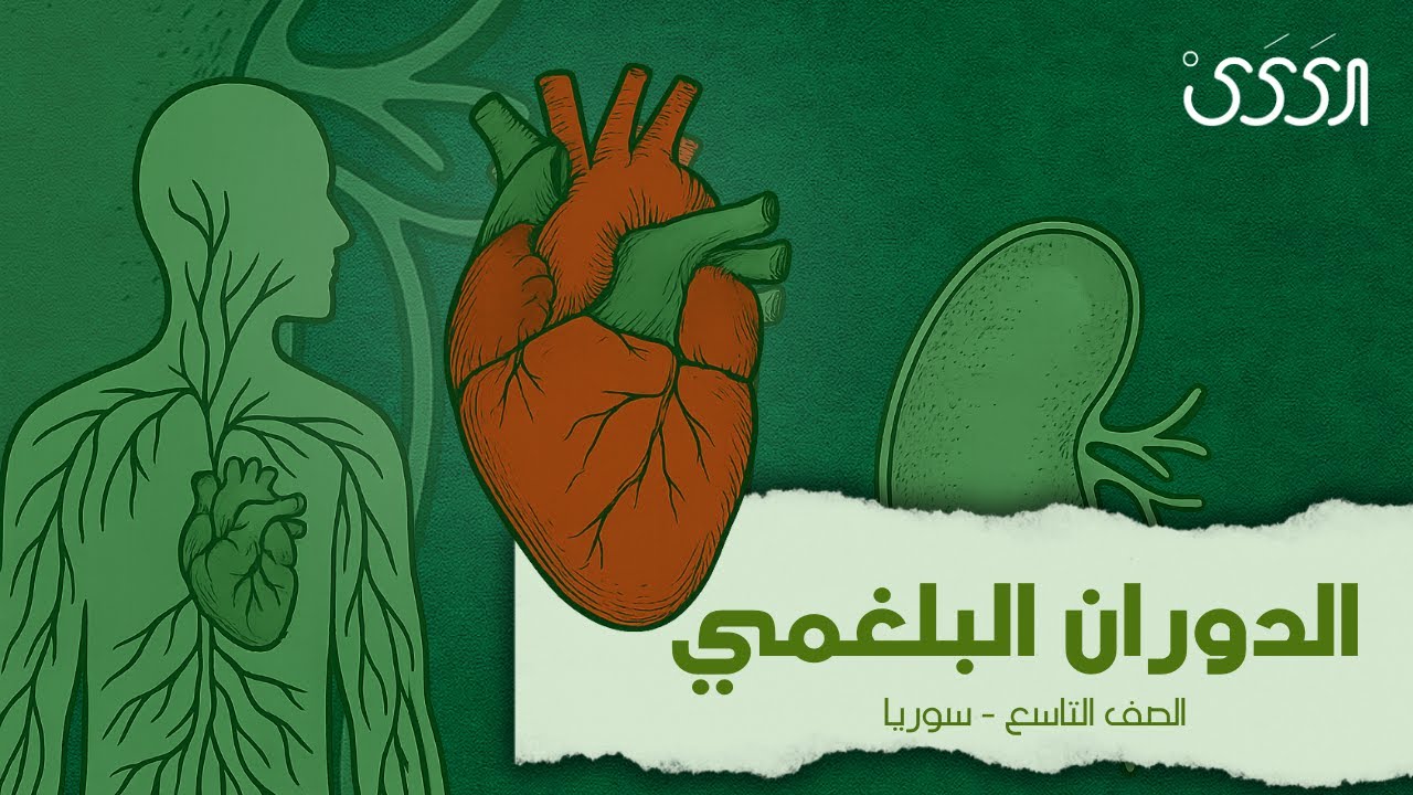 الدوران البلغمي (اللمفاوي) - علوم التاسع - دورة 2025