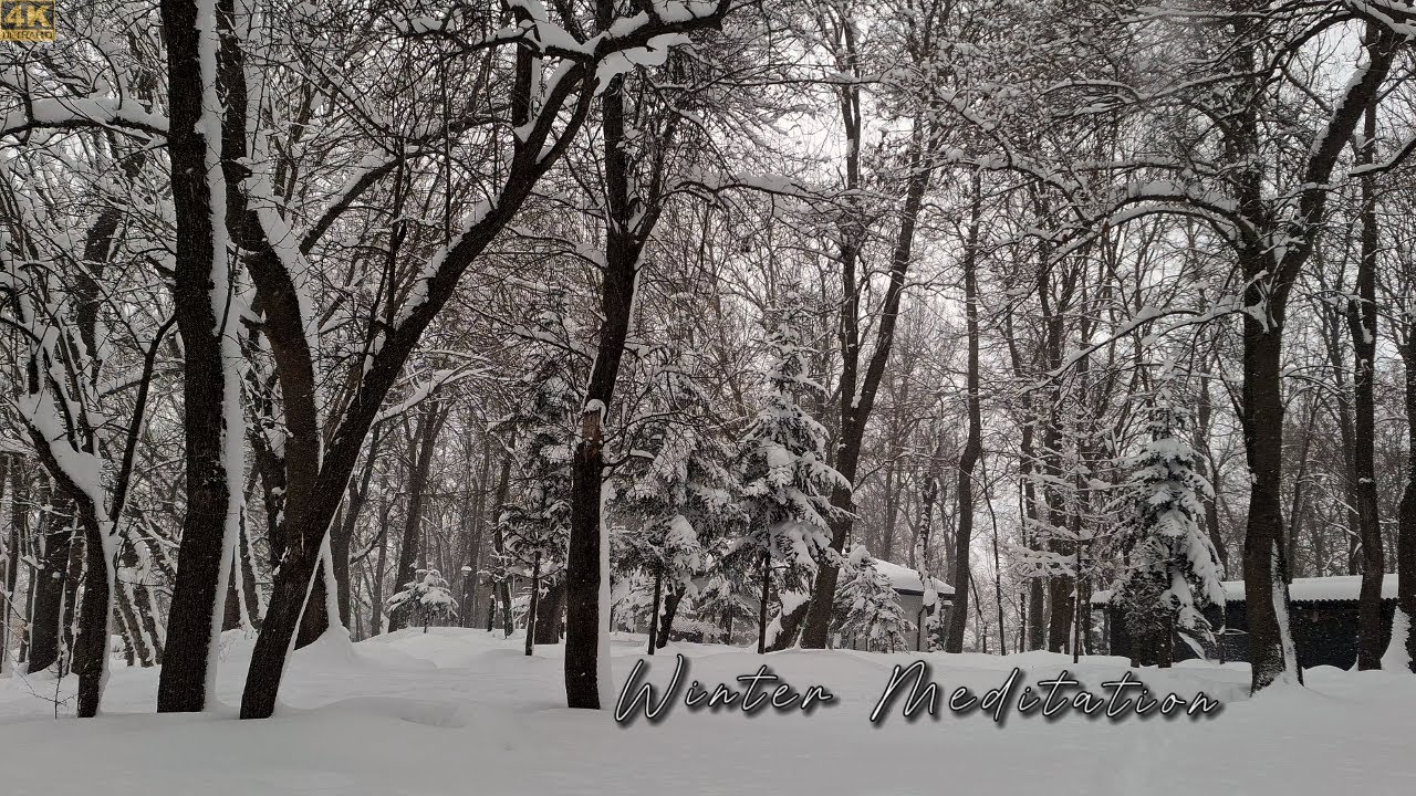 Chill & Heal: The Power of Relax & Snow Therapy - BEAT THE ANXIETY