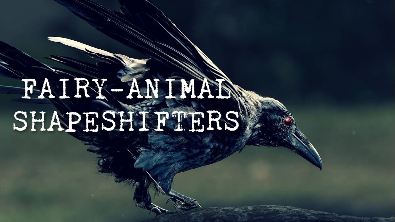 Fairy-Animal Shapeshifters - Eight TRUE Strange Encounters with REAL Fairies