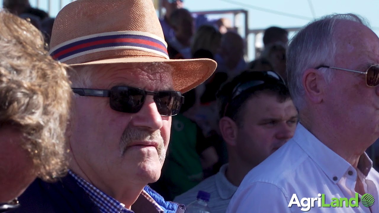 National Ploughing Championships 2019: Highlights from day 3