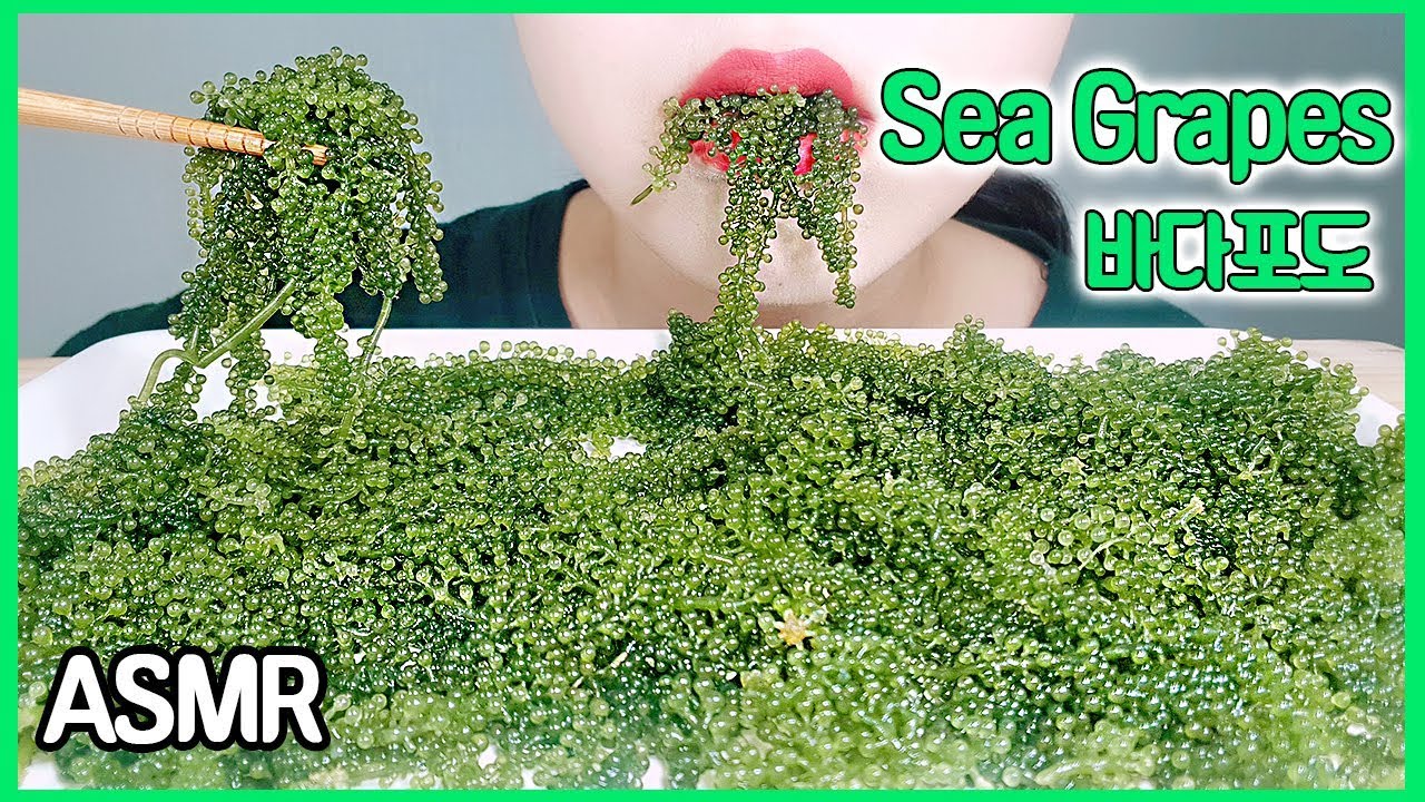 ASMR 바다포도(SEA GRAPES) 리얼사운드 먹방 노토킹 이팅사운드 리뷰 | *NoTalking MUKPPO Eating Show KOREAN mukbang