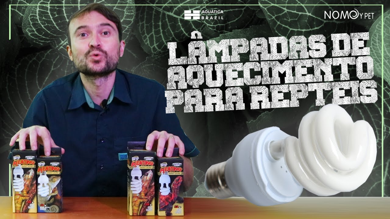 LÂMPADAS UVB PARA RÉPTEIS - Como escolher a correta?