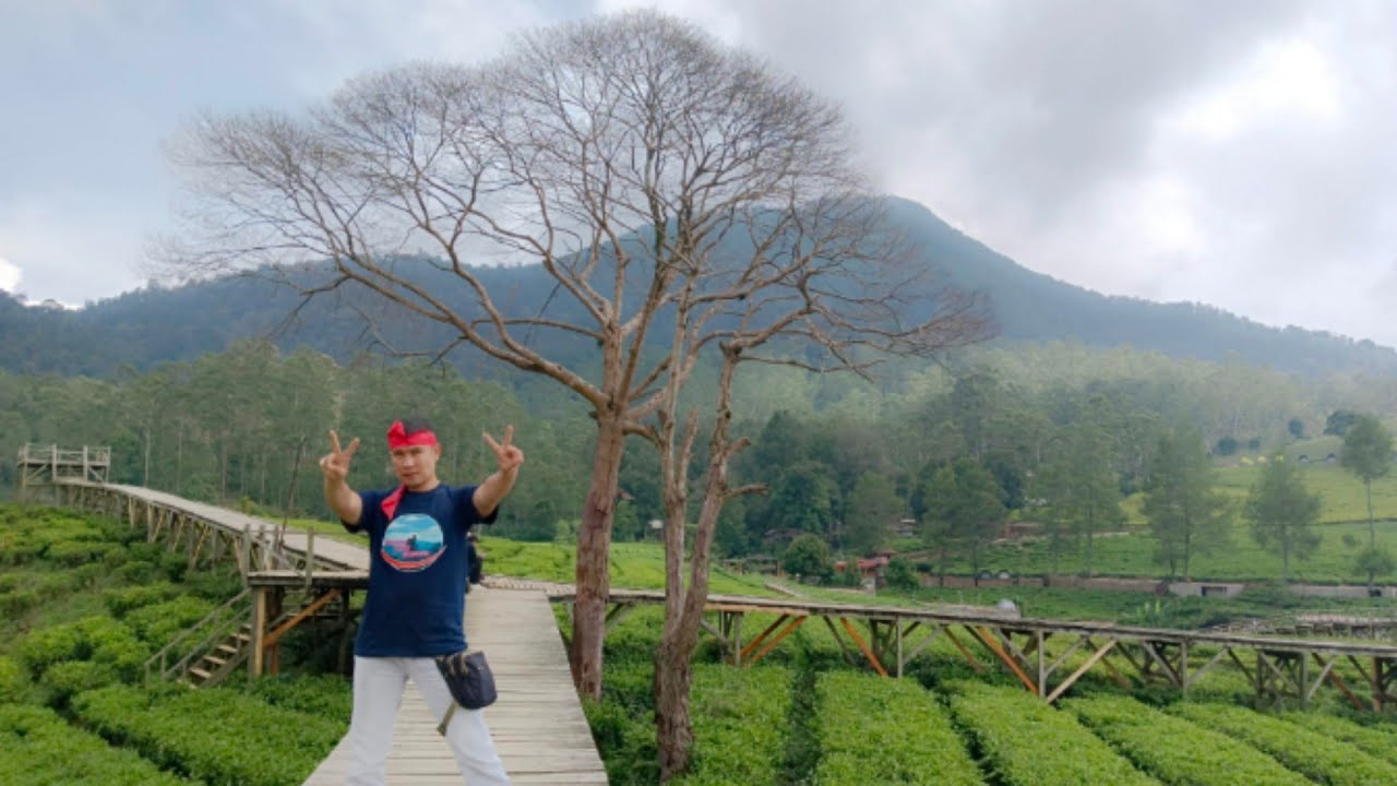 Wisata Nuansa Riung Gunung , Pulosari Kec. Pangalengan Kab. Bandung Jawa Barat Indonesia