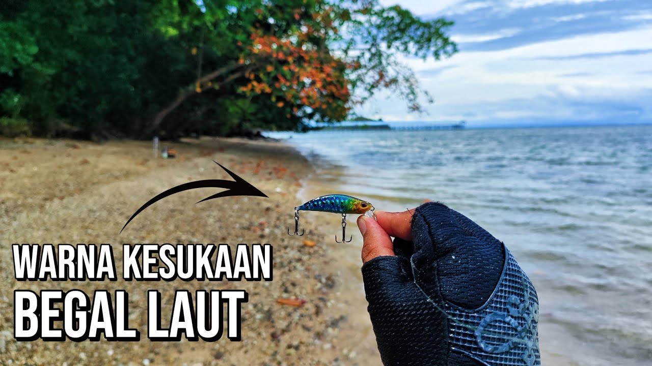 UL Casting Di Pinggiran Pantai‼️Umpan Minnow Babak Belur Dihajar Predator Ganas‼️SALTWATER FISHING 