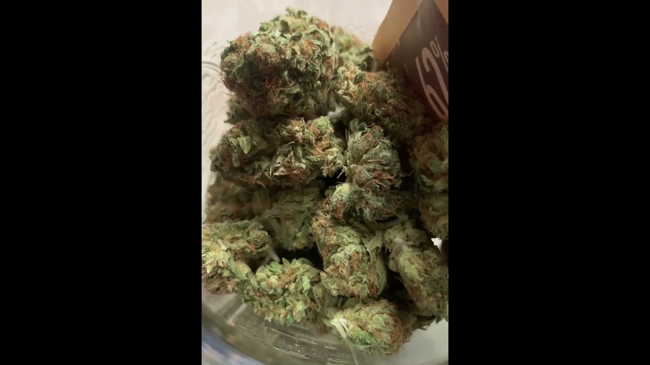 RED LINE HAZE STRAIN  #haze #pure #church #cannabis #redlinehazepheno #whatsinyourbag? #redlinehaze