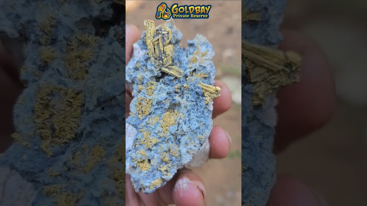 DO NOT crush rocks with gold in them! 😱 #shorts
