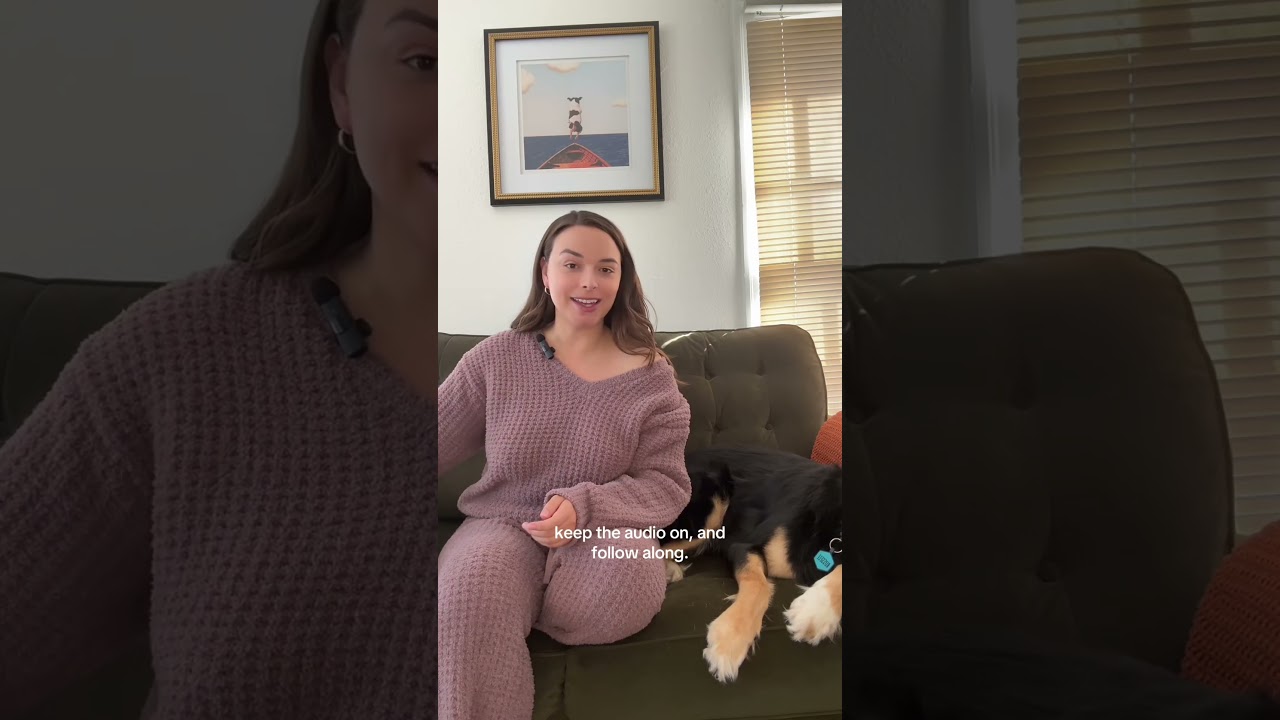 Присоединяйтесь ко мне в этой петиции #dogsofyoutube #scrollbreak