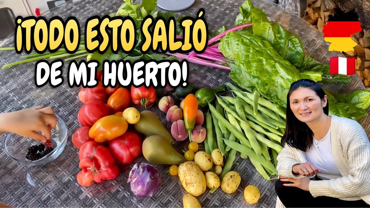 Todo esto de mi HUERTO orgánico en Alemania 🇩🇪 | Mas sopresas 💕 - Shirley Tocic