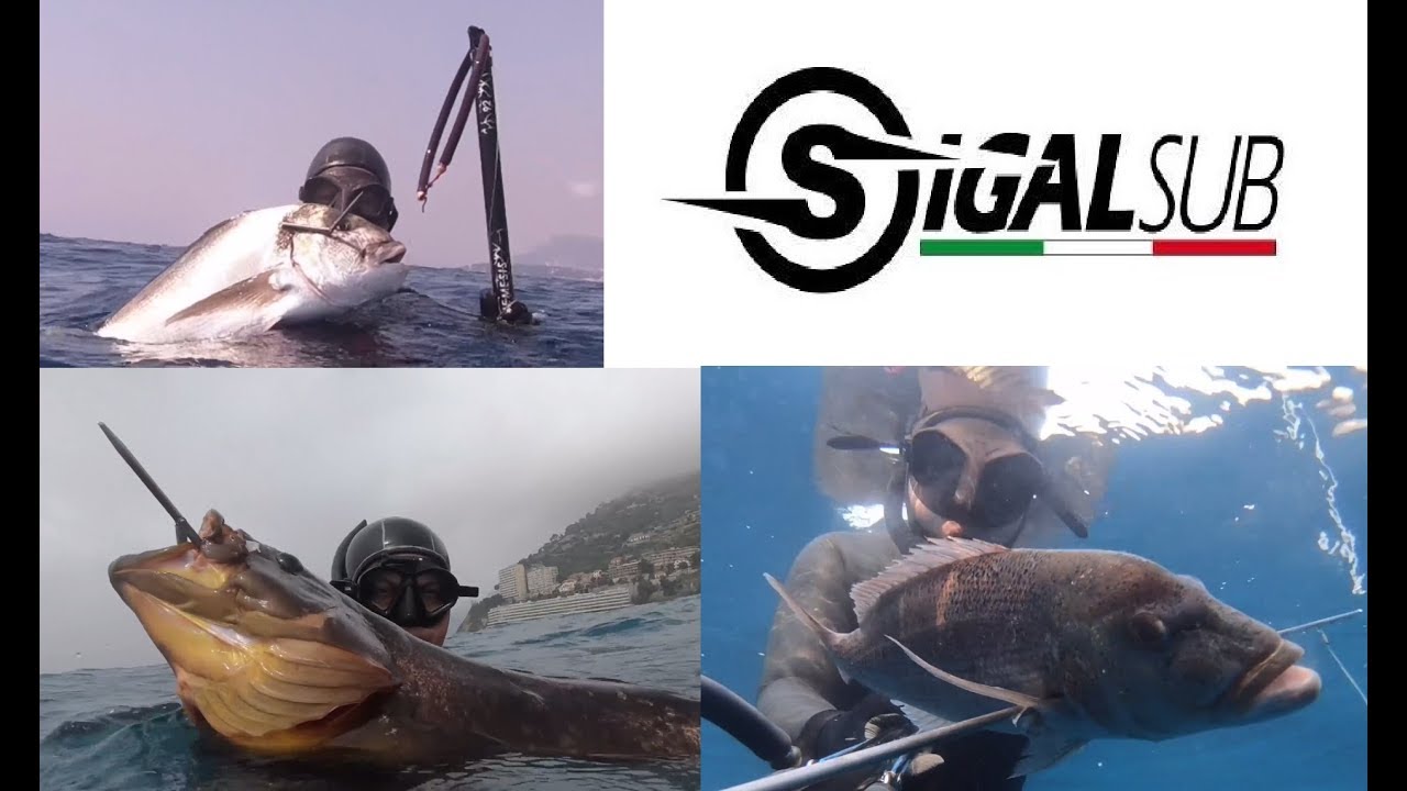 SPEARFISHING : GILTHEAD 4,5 KG DENTEX SNAPPER & GROUPER - PESCA IN APNEA ORATA DENTICE TOP