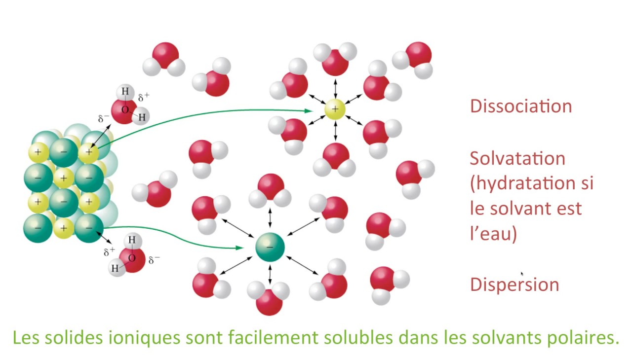 Mécanisme de dissolution