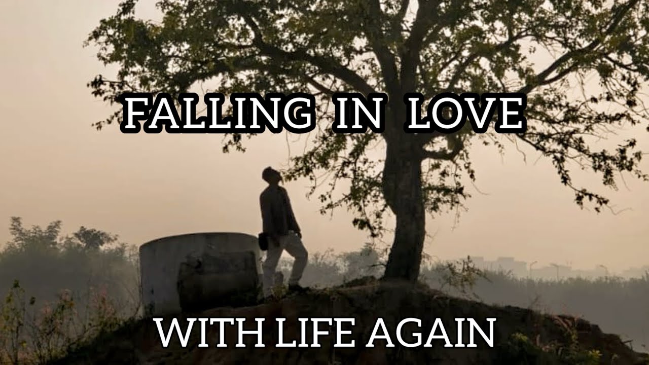 Falling In Love With Life Again| A New Beginning.