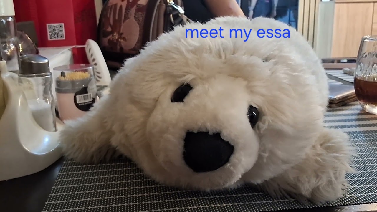 my essa #sealsnation