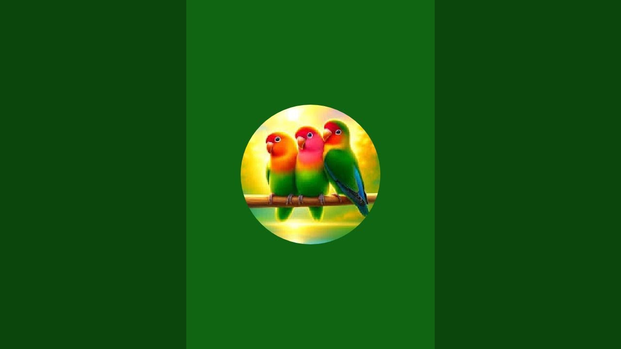FS PETS is live!