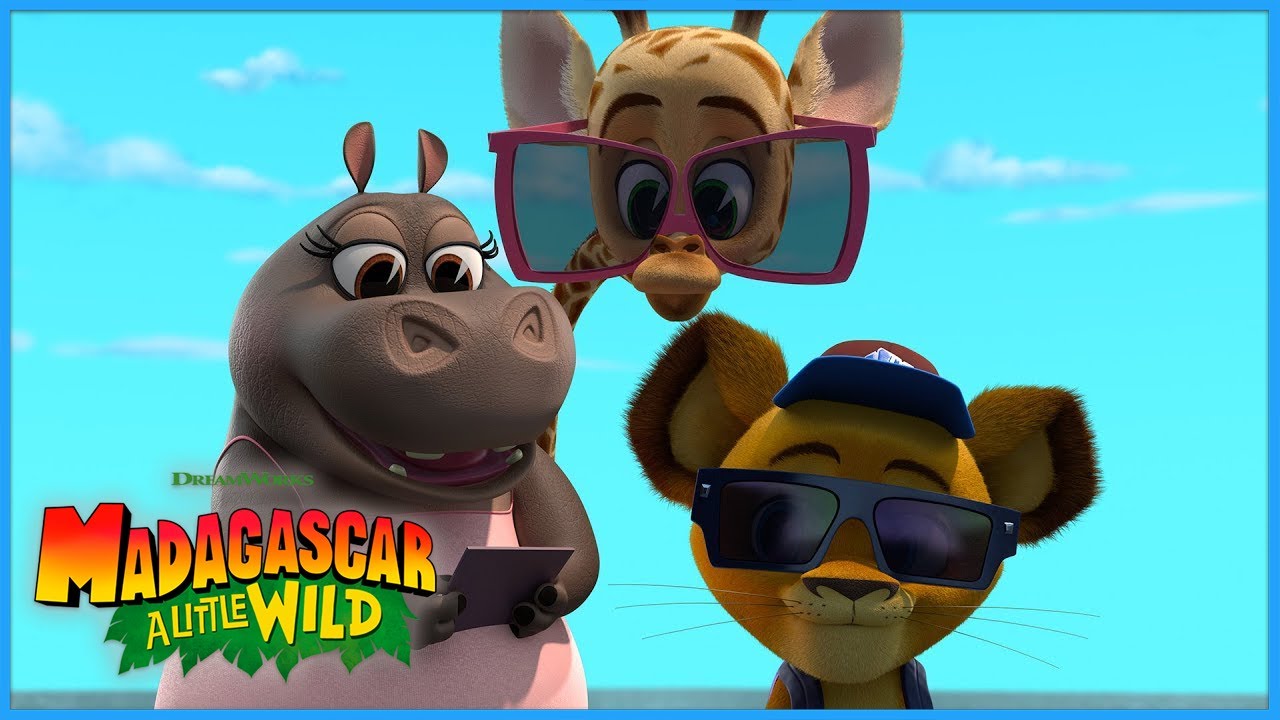 Gloria Saves The Day 🏖️🦈  | Madagascar: A Little Wild | DreamWorks Madagascar