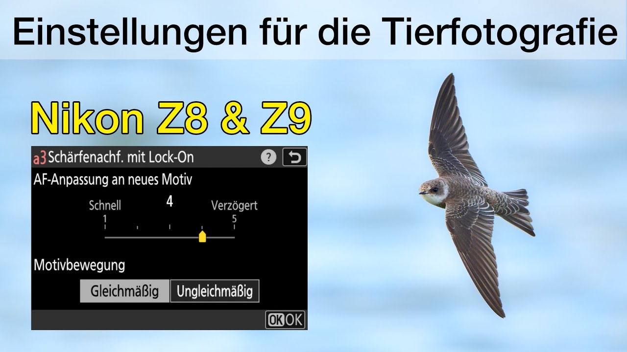 Nikon Z8 und Z9 - Meine Einstellungen für die Tierfotografie