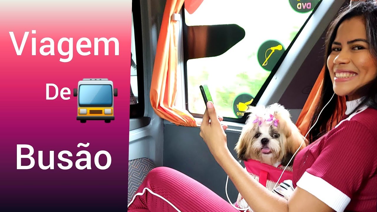Viagem de Ônibus com minha dog Luna. Ela vai de Poltrona ou no Bagageiro?
