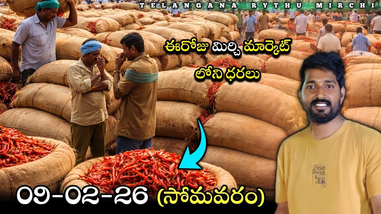 09/02/2026 KHAMMAM MIRCHI MARKET PRICE UPDATES JENDA PATA #khammam  #news  #farming  #redchilli  