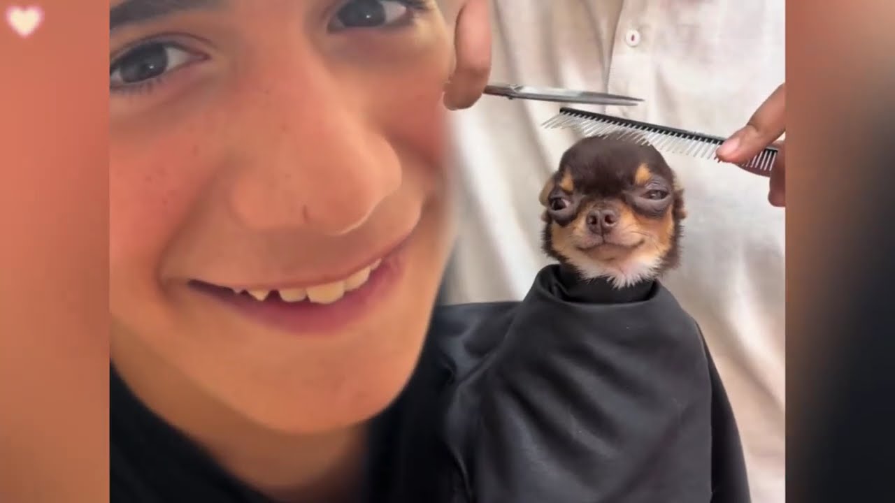 🤣👌👌👌2026 pov Must-Watch Crazy Clips Compilation #humor #fypシ #pov #fyp #foryou 😍😜