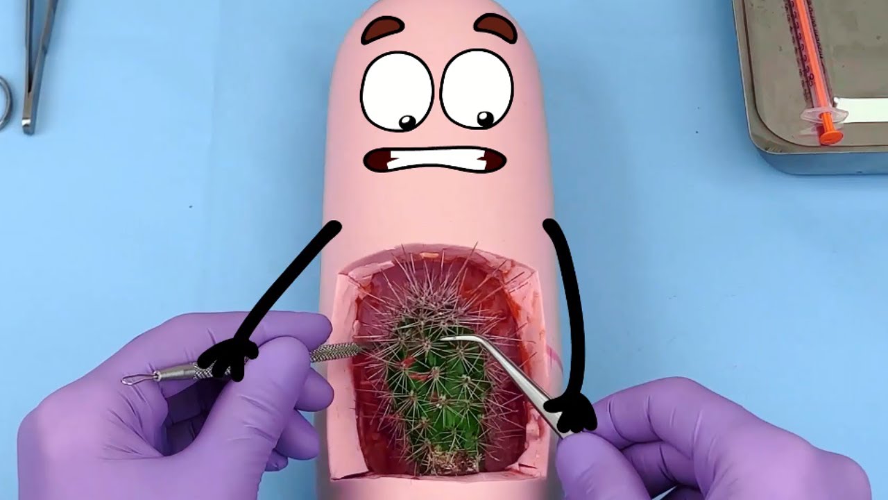 Food's Secret | Transformed Doodles | Animated Adventures & Funny Doodles!