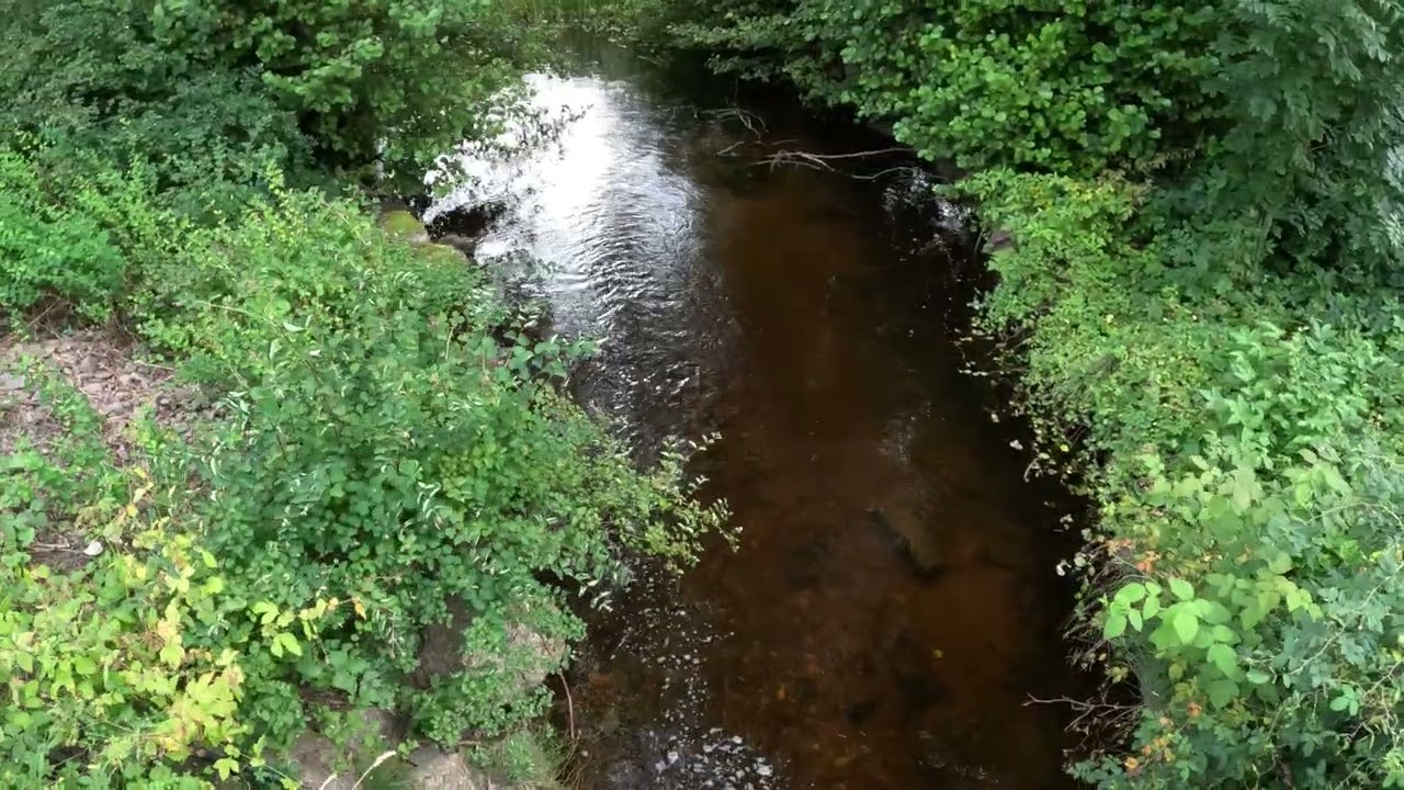 EXPLORING A PART OF ÅBY IN NORRKÖPING SWEDEN