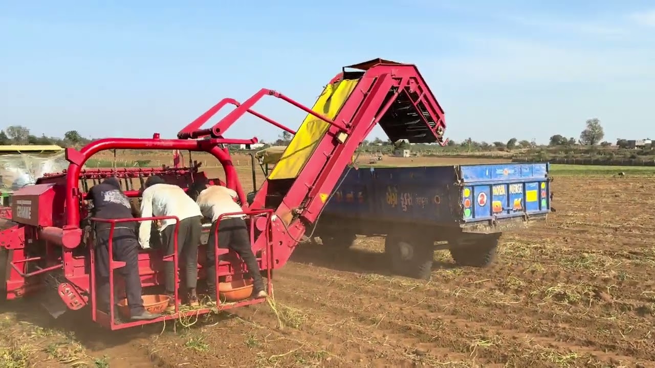 Potato Harvesting @ 2025 with GRIMME DL 1500.