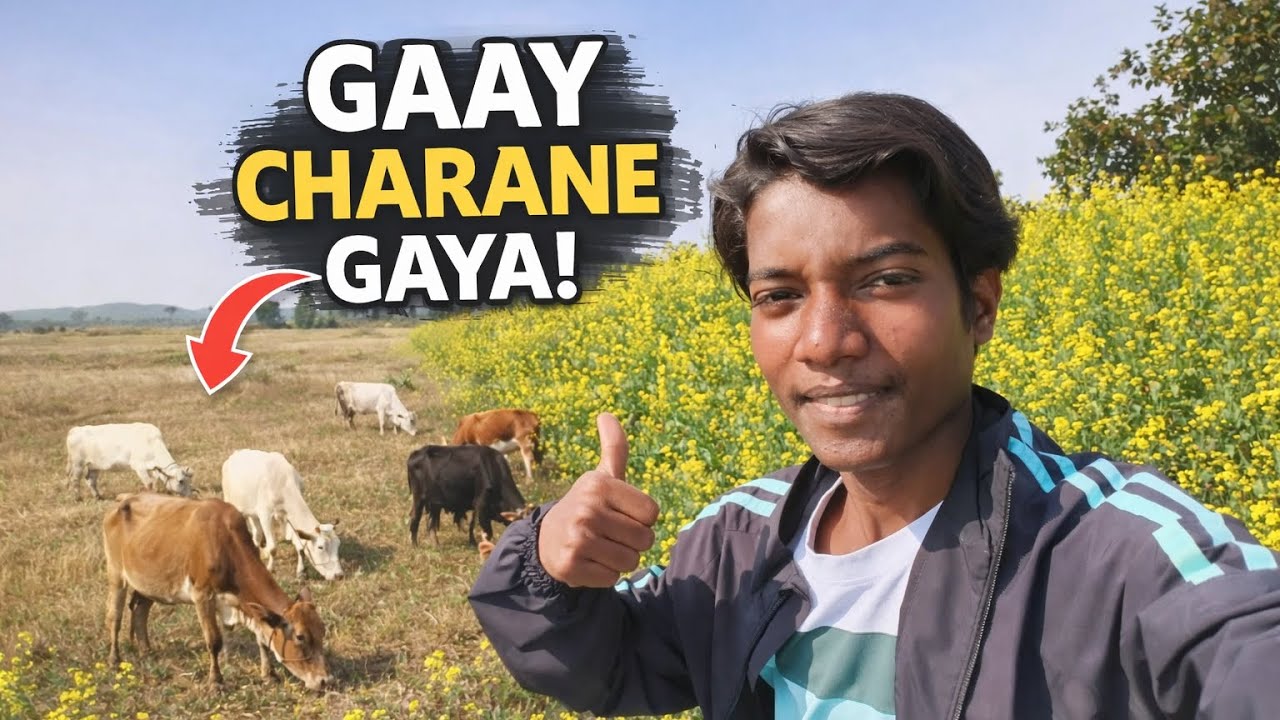 Aaj Gaay Charane Jana Pada 🙃