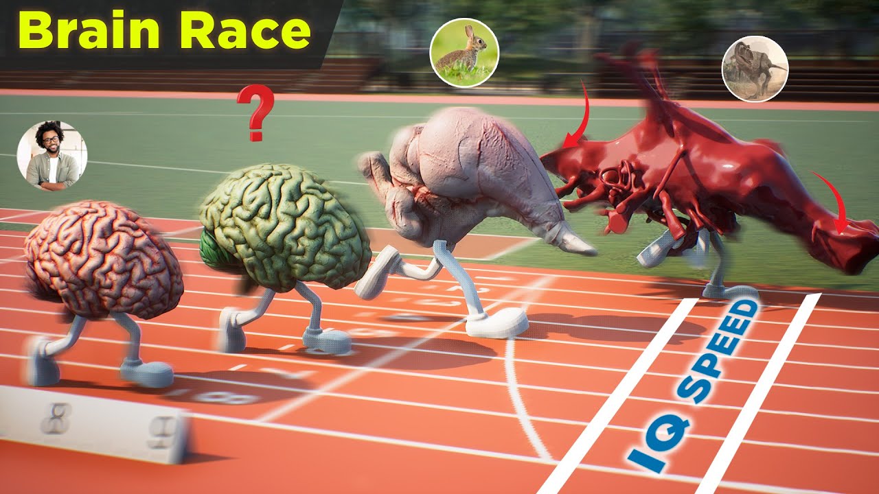 Fastest Animals IQ Speed Comparison | Brian IQ comparison