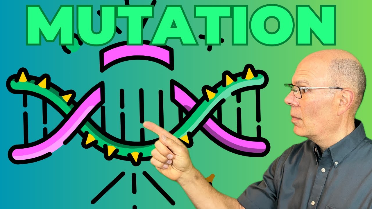Mutations Explained! Learn about Substitutions, Deletions and Insertions