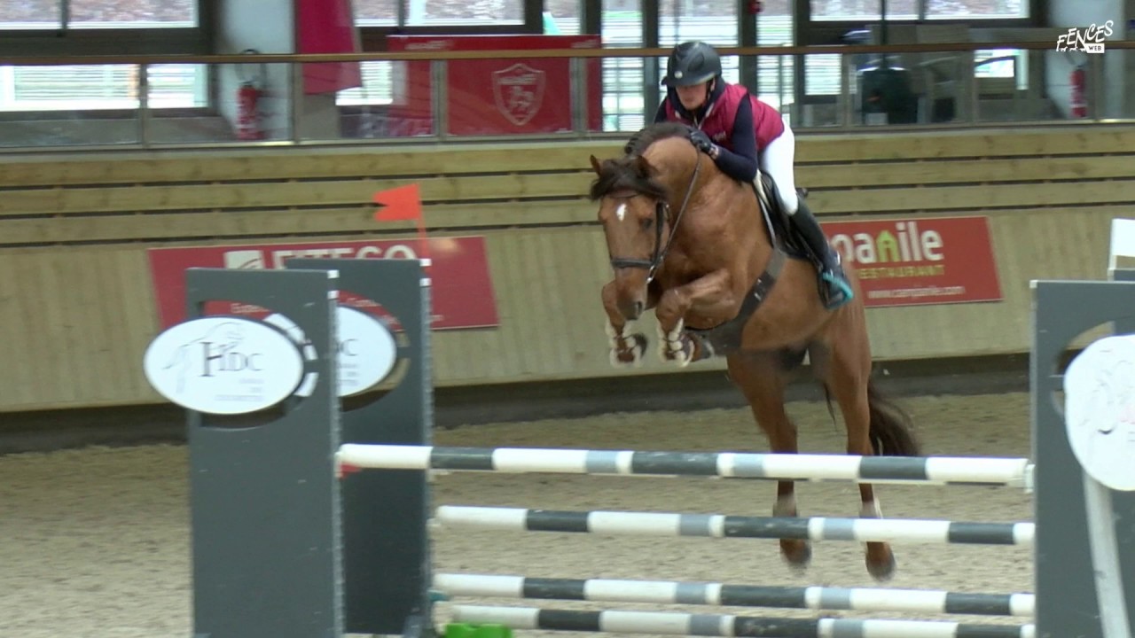 N°03 ELECTRO DES FORETS - Vente Fences Web