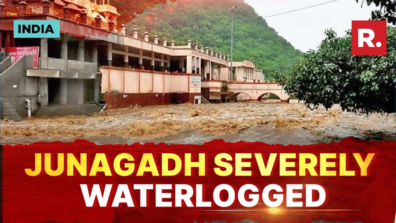 Gujarat: Cattle Washed Away, Roads Turned Into Rivers As Heavy Rains Trigger Floods In Junagadh
