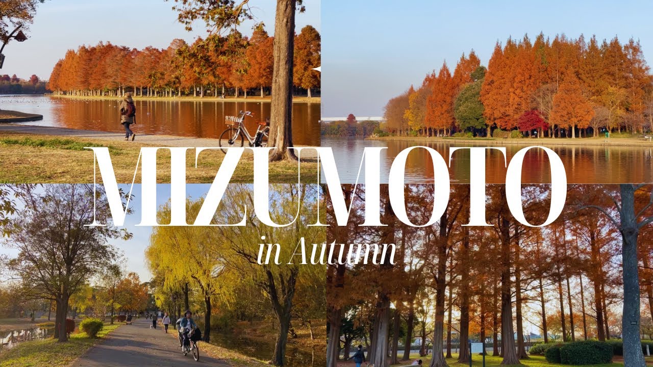 Mizumoto Park | Hidden gem for fall foliage | L&aacute; v&agrave;ng l&aacute; đỏ m&ugrave;a thu Nhật Bản 2023