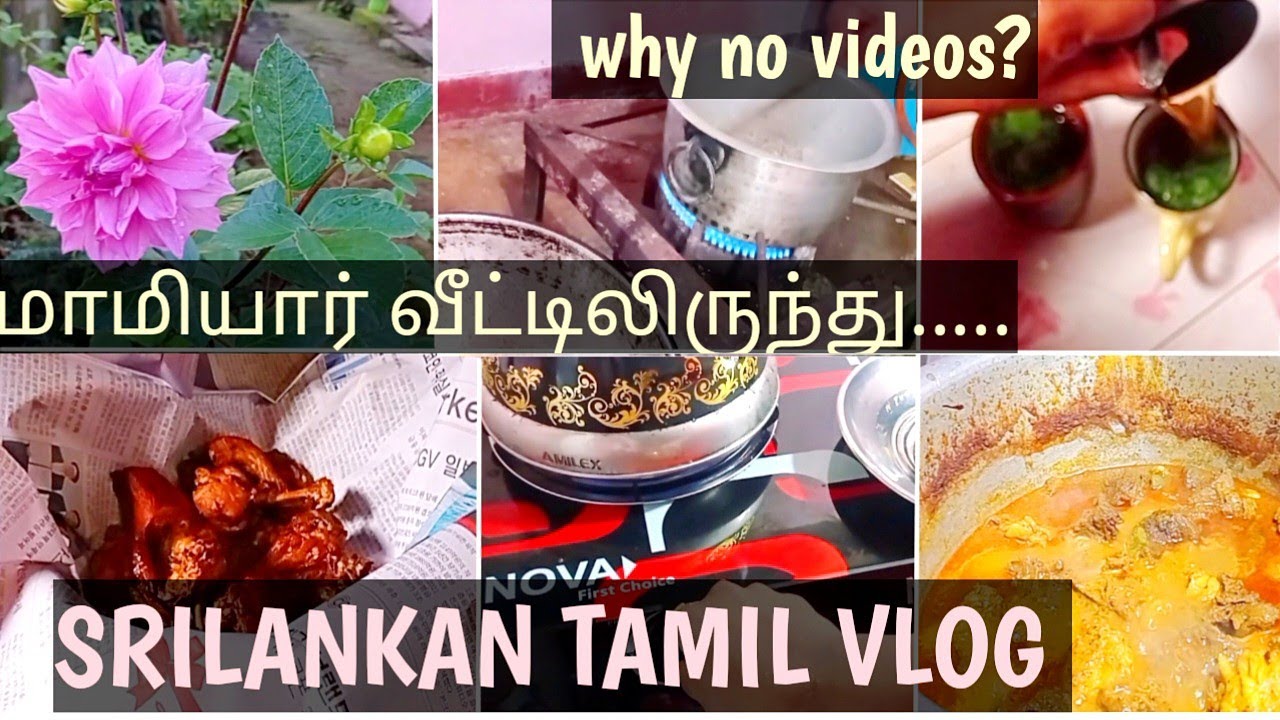 why no videos | vlog at mother-in-law home