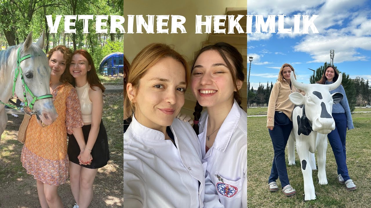 Uludağ Üniversitesi Veteriner Fakültesi 🐾 | Tercih Etmeden İzle! | Tüm Merak Edilenler