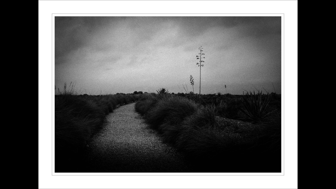Canon AV-1  - Canon EOS 3000  + Fomapan 200