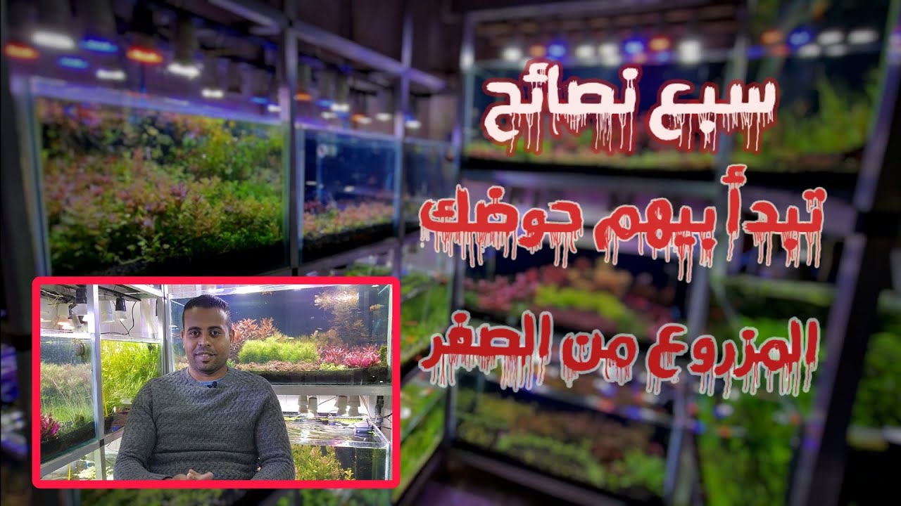 سبع نصائح تبدأ بيهم حوضك المزروع من الصفر