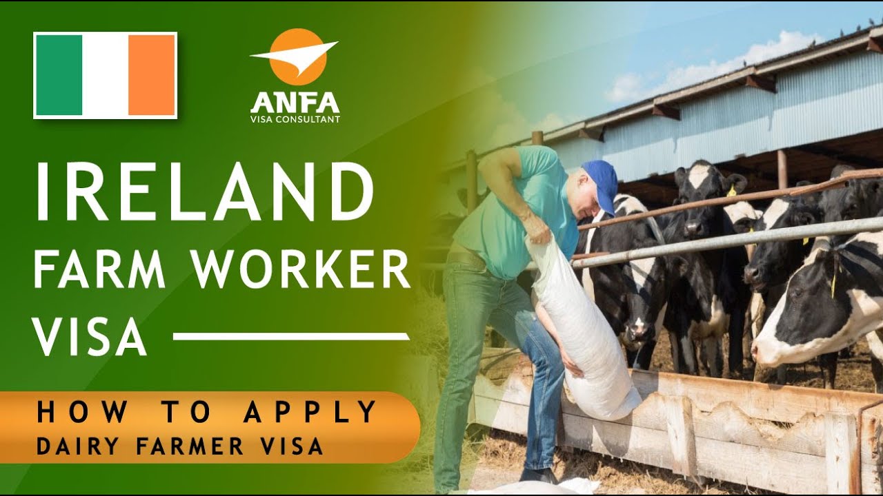 Free Farm worker visa Ireland  || Ireland work permit 2021 || work visa Ireland 2021|| anfa ||