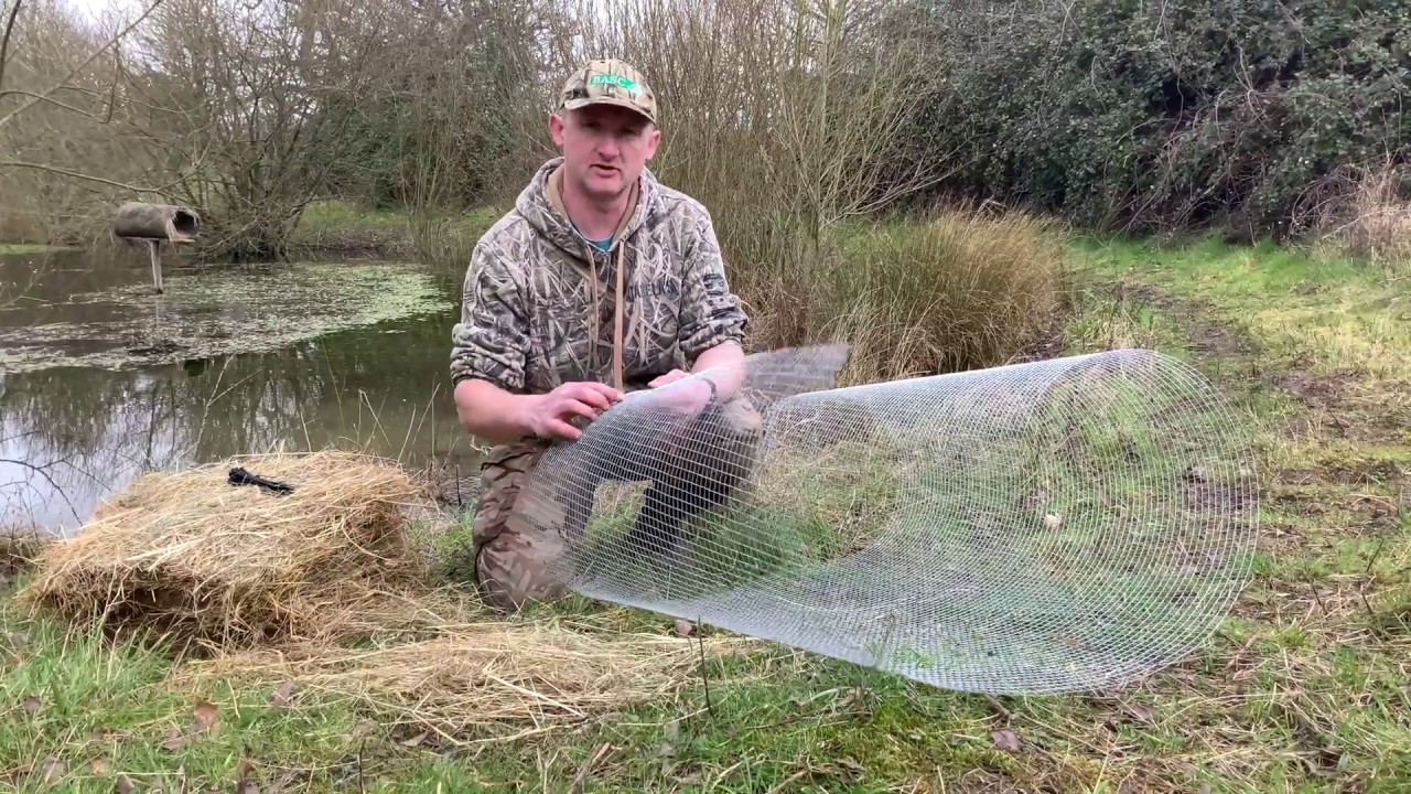 Making and positioning a duck nesting tube.