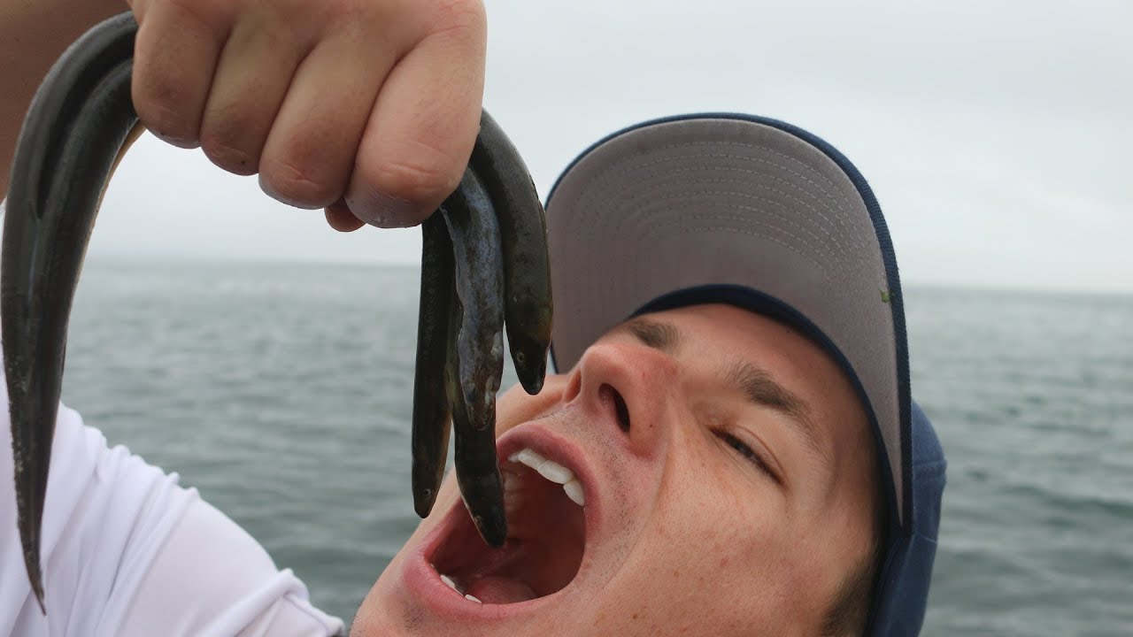 Will This REALLY Work? LIVE EELS as Bait CHALLENGE!