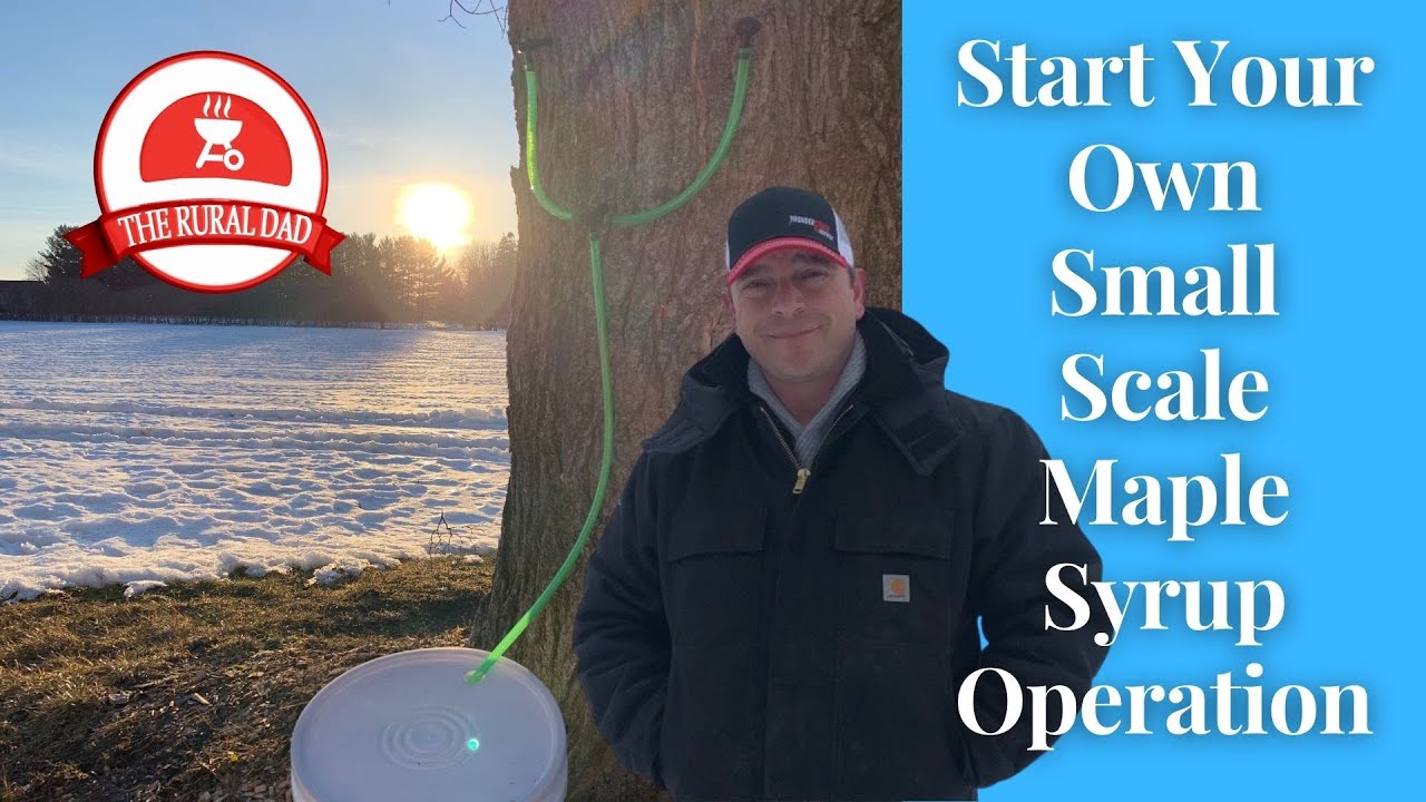 Start Your Own Small Scale Maple Syrup Operation