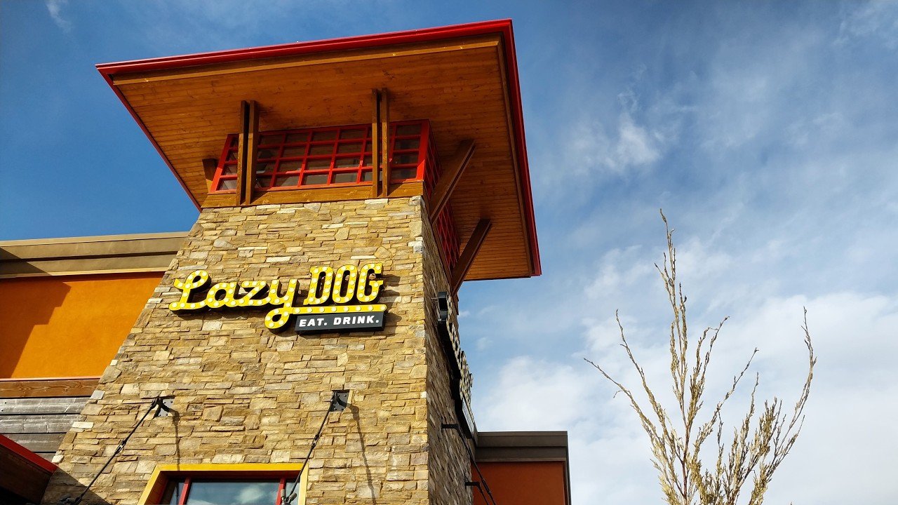 Lunch At Lazy Dog: Exploring The Best Menu Items For Hungry Travelers