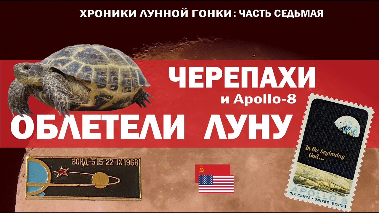 7. Черепахи облетели Луну // Загадка голоса с лунной орбиты