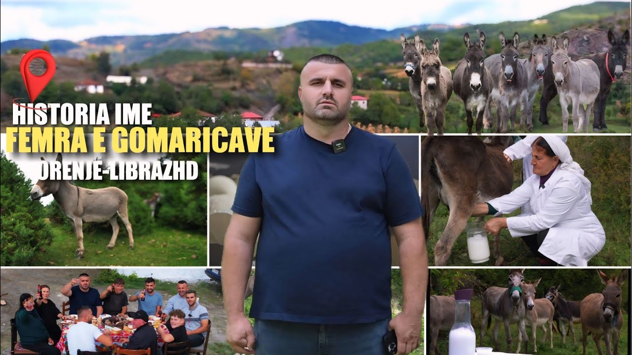 Nga Italia në Librazhd: Artur Balla dhe ëndrra për fermën më të madhe të gomaricave në Shqipëri