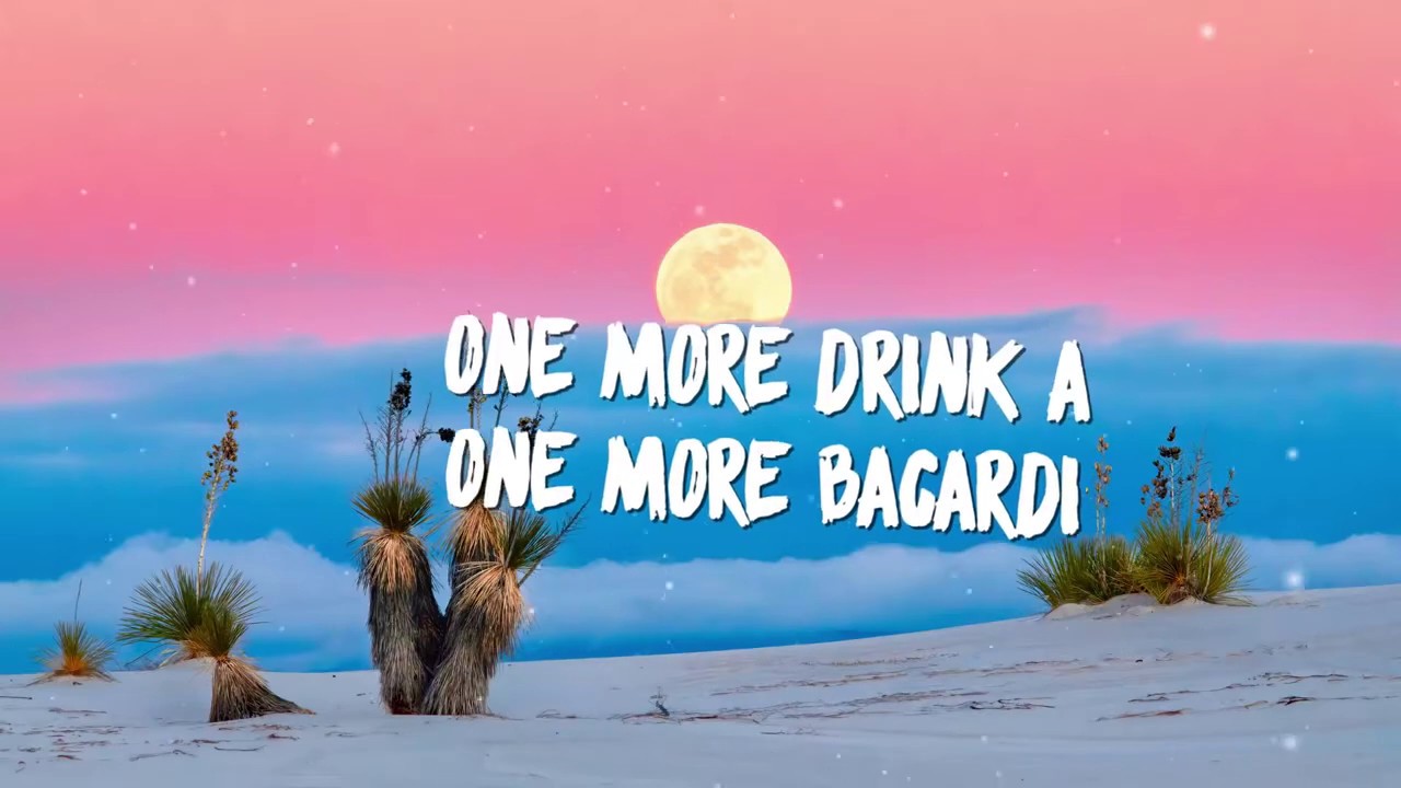 Sam Feldt -  Post Malone // Lyric video ft  RANI
