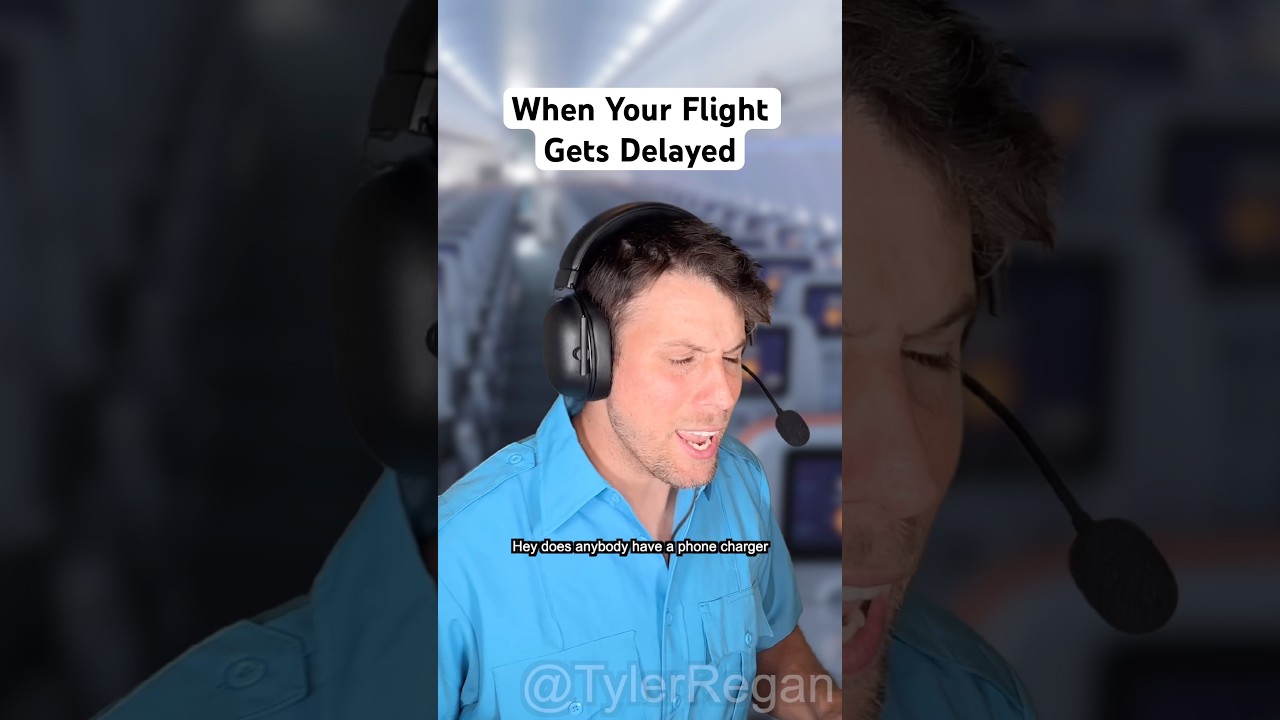 When Your Flight Gets Delayed #airplane #passenger #flightattendant #shorts