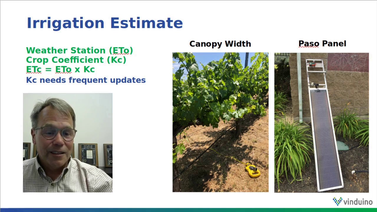 Irriwatch intro Small Winegrowers Association June 2020